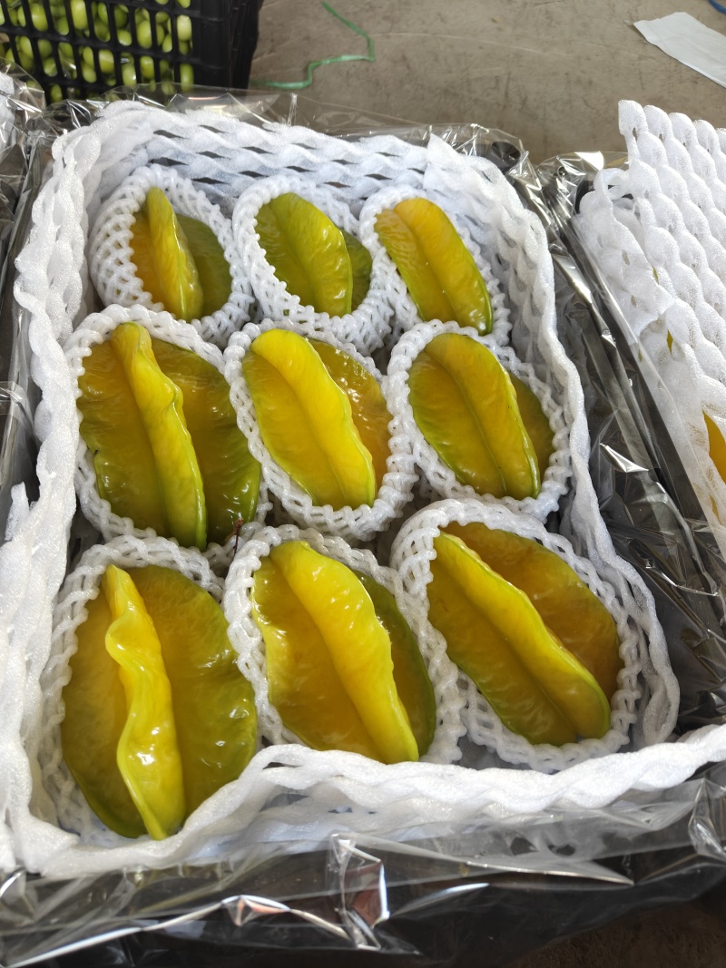 水果杨桃