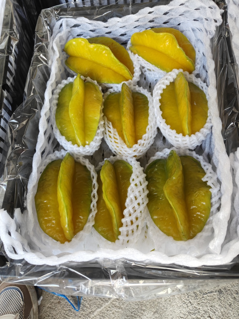 水果杨桃