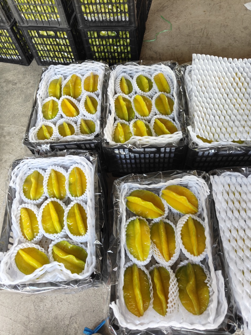 水果杨桃