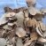 土茯苓中药材红土茯苓新货东弘药业一手货源现货供应
