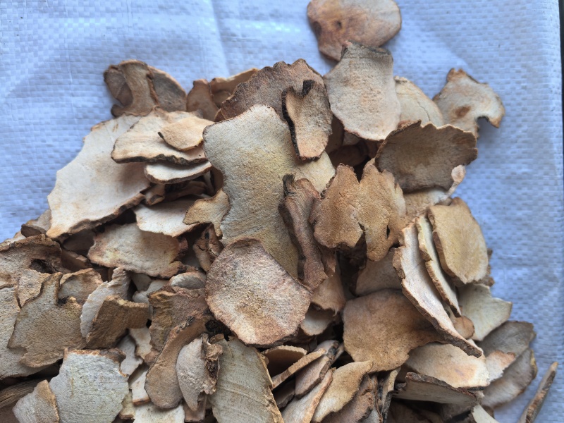 土茯苓中药材红土茯苓新货东弘药业一手货源现货供应