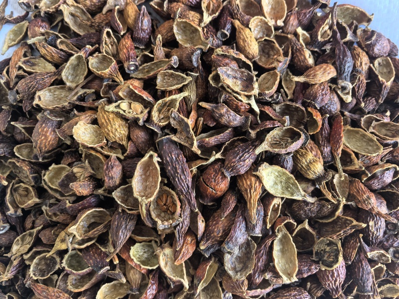 金樱子肉中药材金樱子新货东弘药业一手货源现货供应