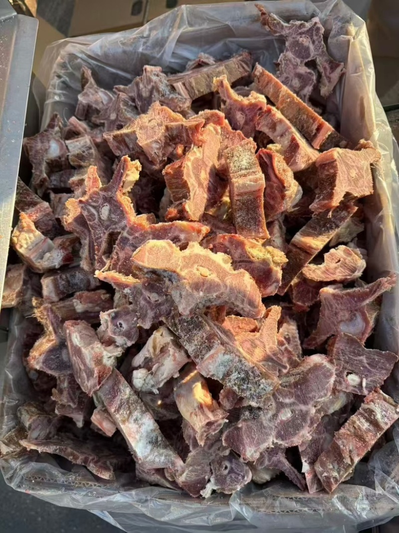 多肉羊蝎子