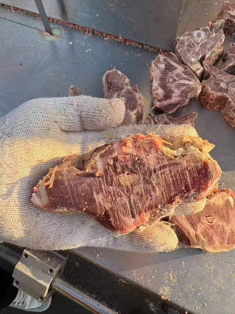 多肉羊蝎子
