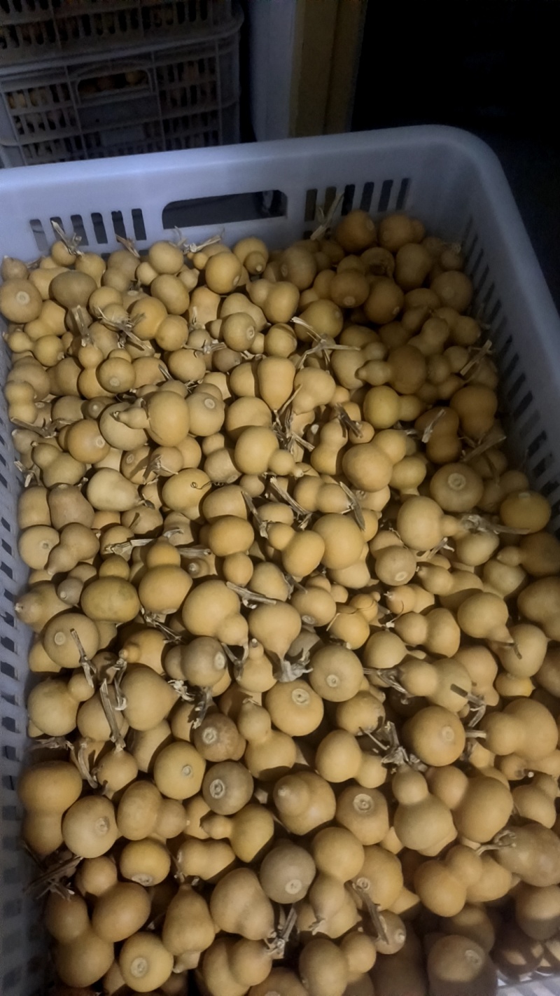 文玩葫芦