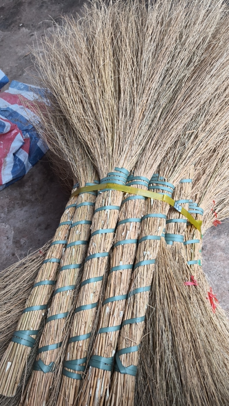 铁扫帚，金丝草扫把，地肤子草扫把