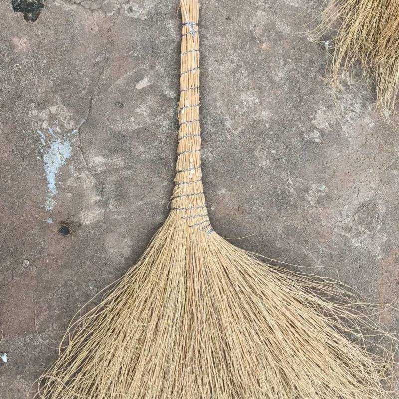铁扫帚，金丝草扫把，地肤子草扫把