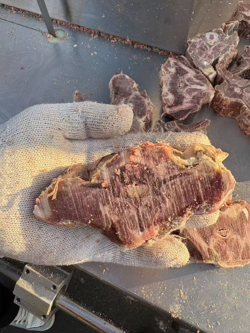 多肉羊蝎子