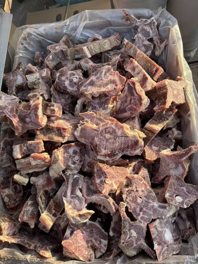 多肉羊蝎子