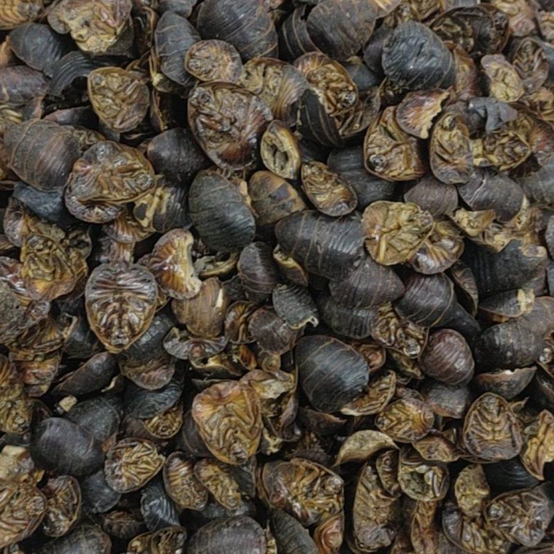 中药材土元，昆虫类，土鳖虫，各种各样的规格都有现货大货