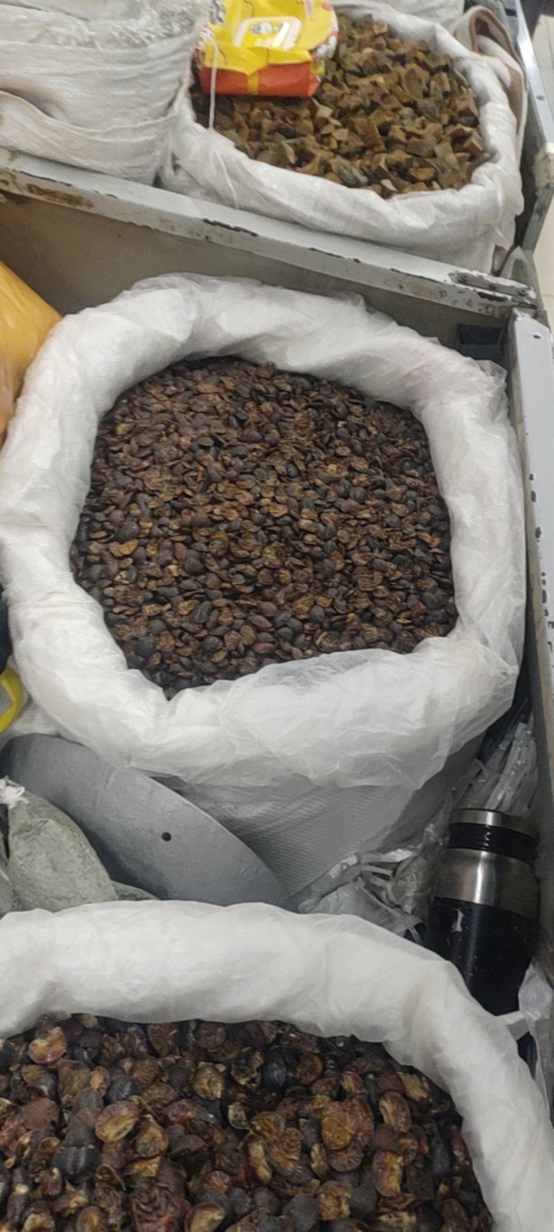 中药材土元，昆虫类，土鳖虫，各种各样的规格都有现货大货