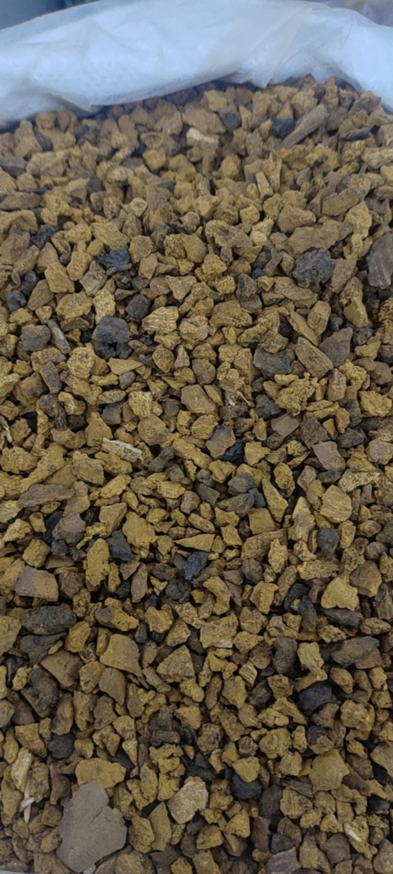 中药材，桑黄，各种各样的规格都有现货大货需要的老板可以下
