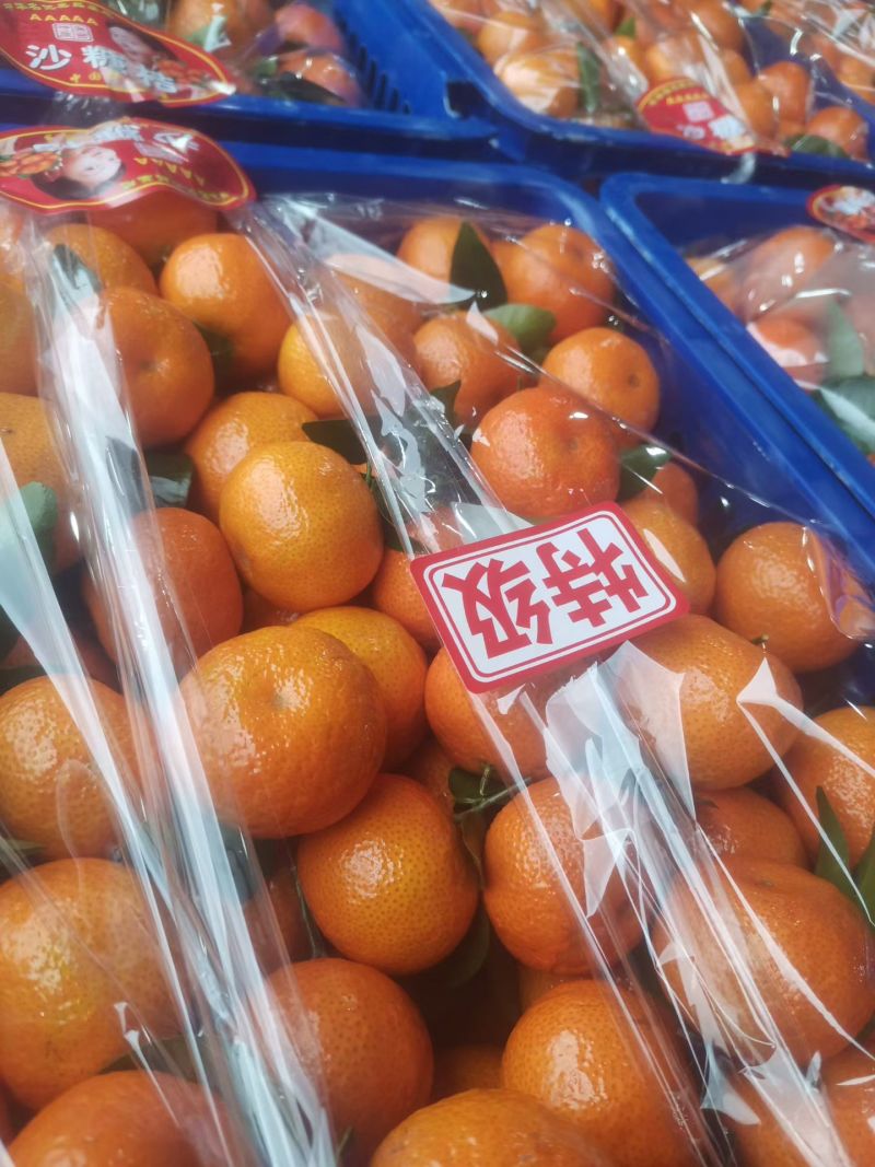 广西桂林砂糖橘产地直发