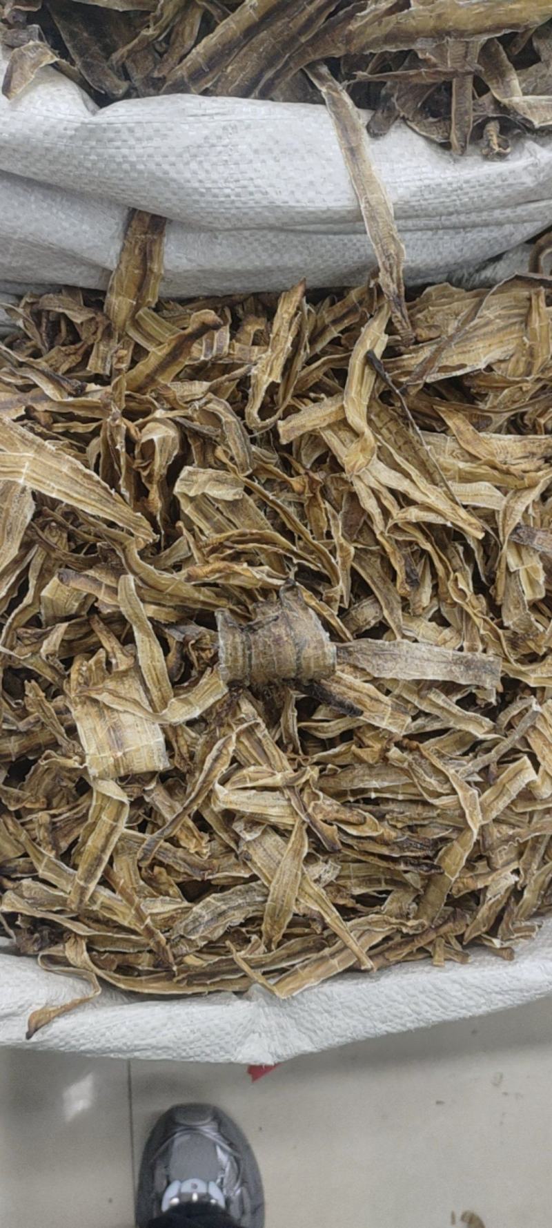 中药材地龙段，地龙条，各种各样的规格都有现货大货