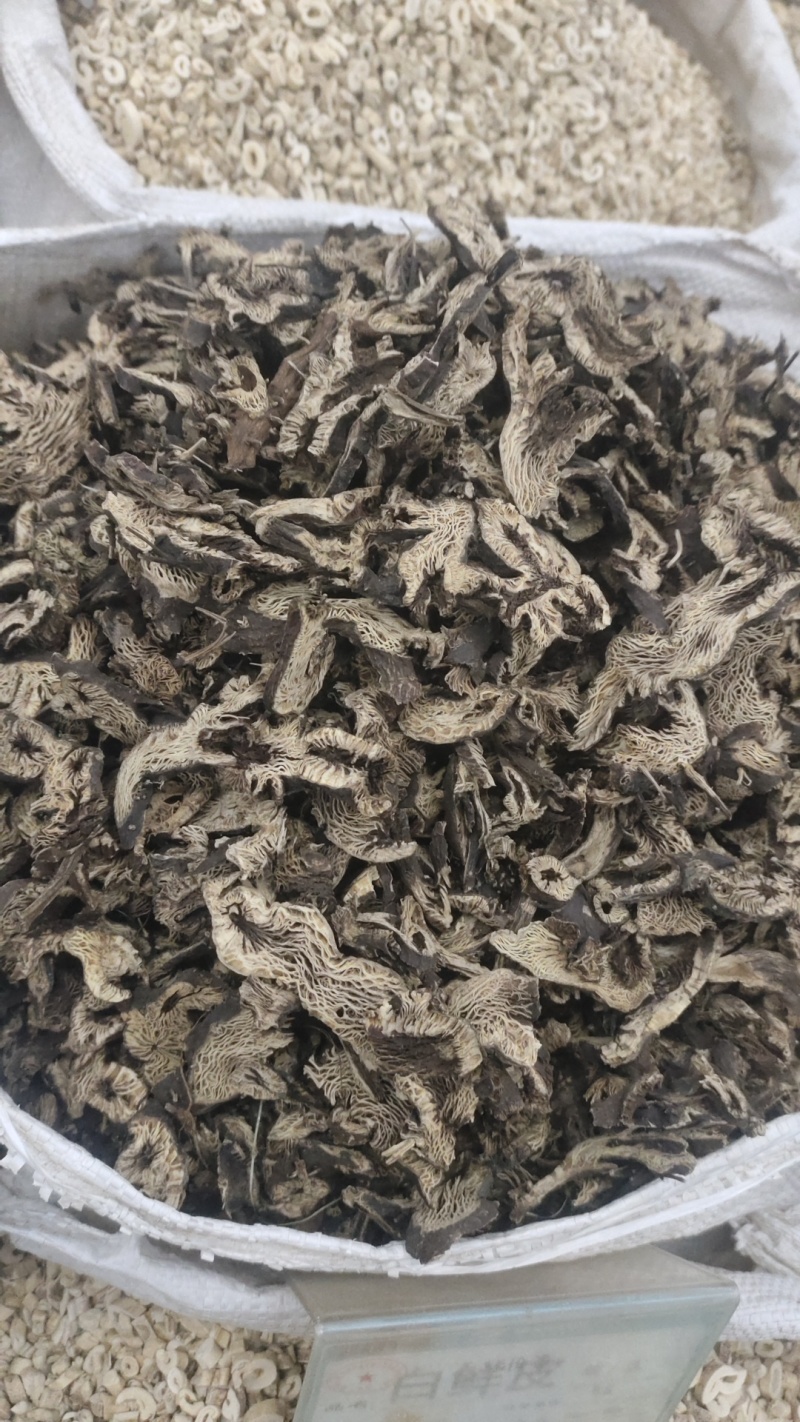 中药材升麻，各种各样的规格都有现货大货需要的老板可以下单