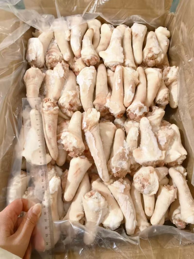 肥猪短尾