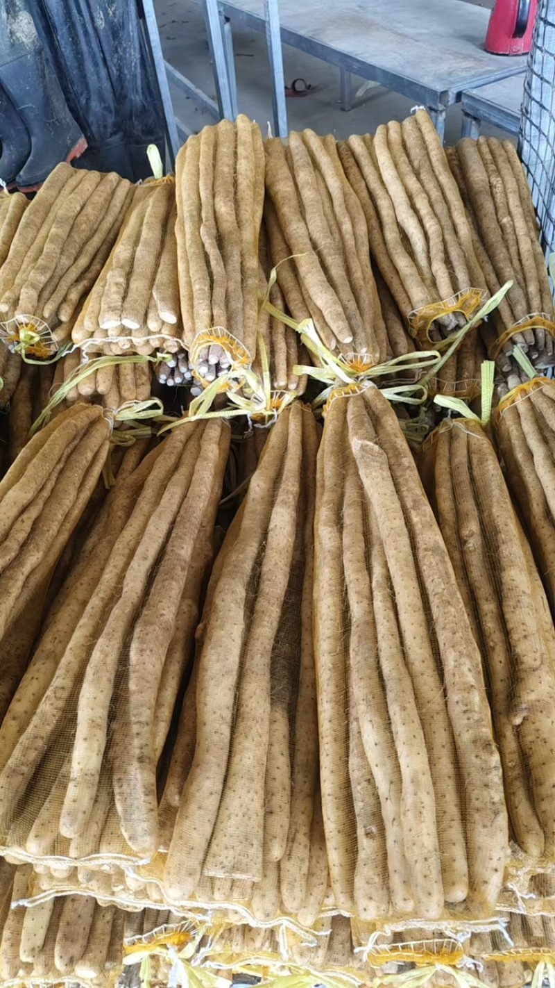 小白嘴山药品质保证服务周到产地直发价格美丽欢迎