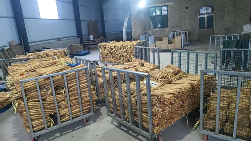 小白嘴山药品质保证服务周到产地直发价格美丽欢迎