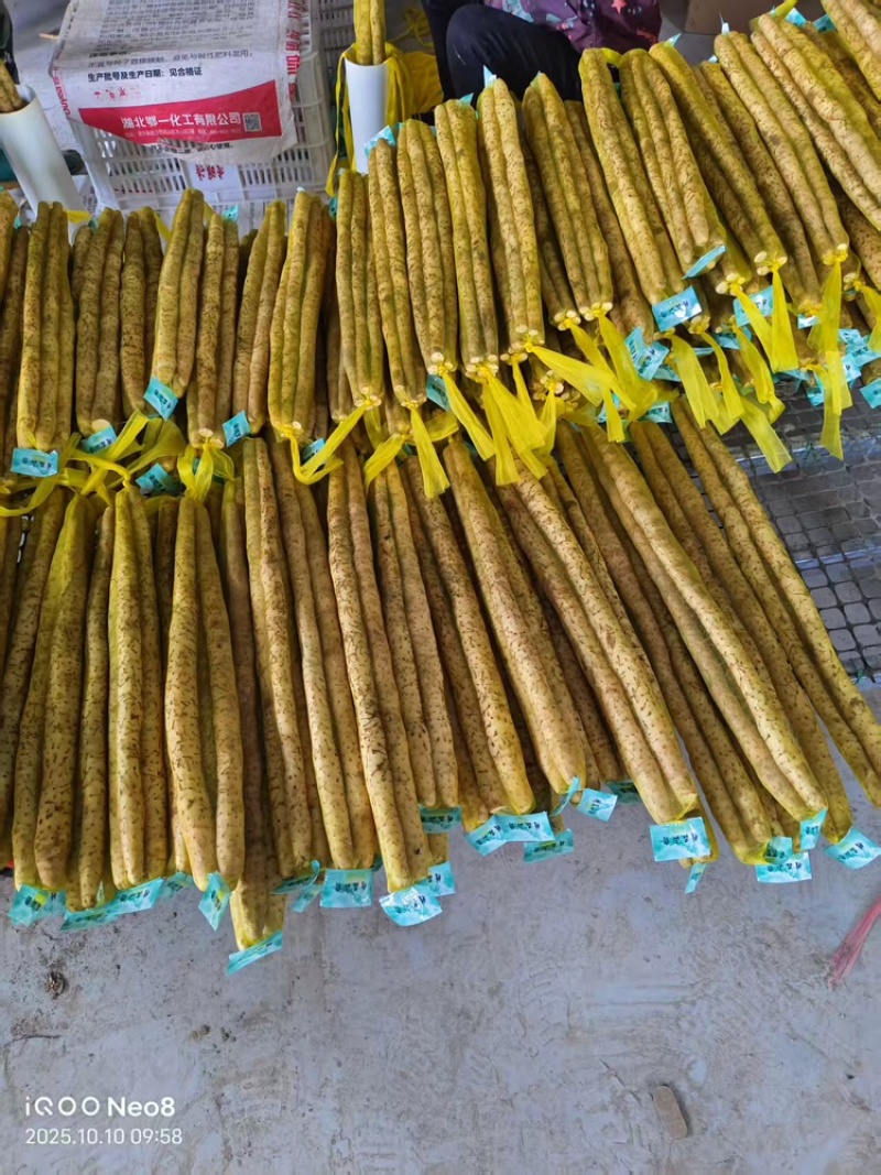 小白嘴山药品质保证服务周到产地直发价格美丽欢迎