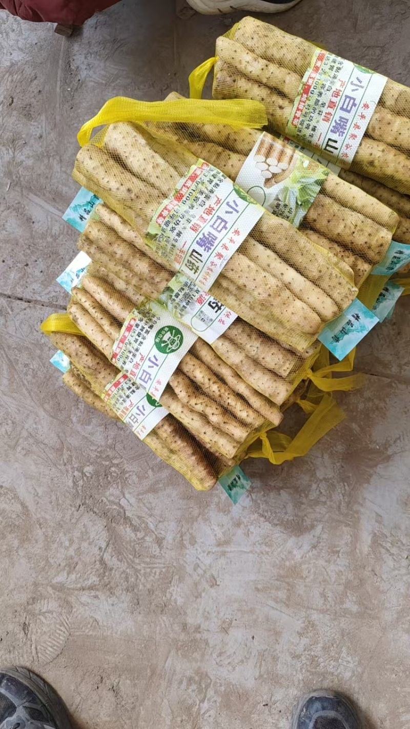 小白嘴山药品质保证服务周到产地直发价格美丽欢迎