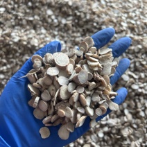 白芍白芍片圆片实拍视频诚信经营