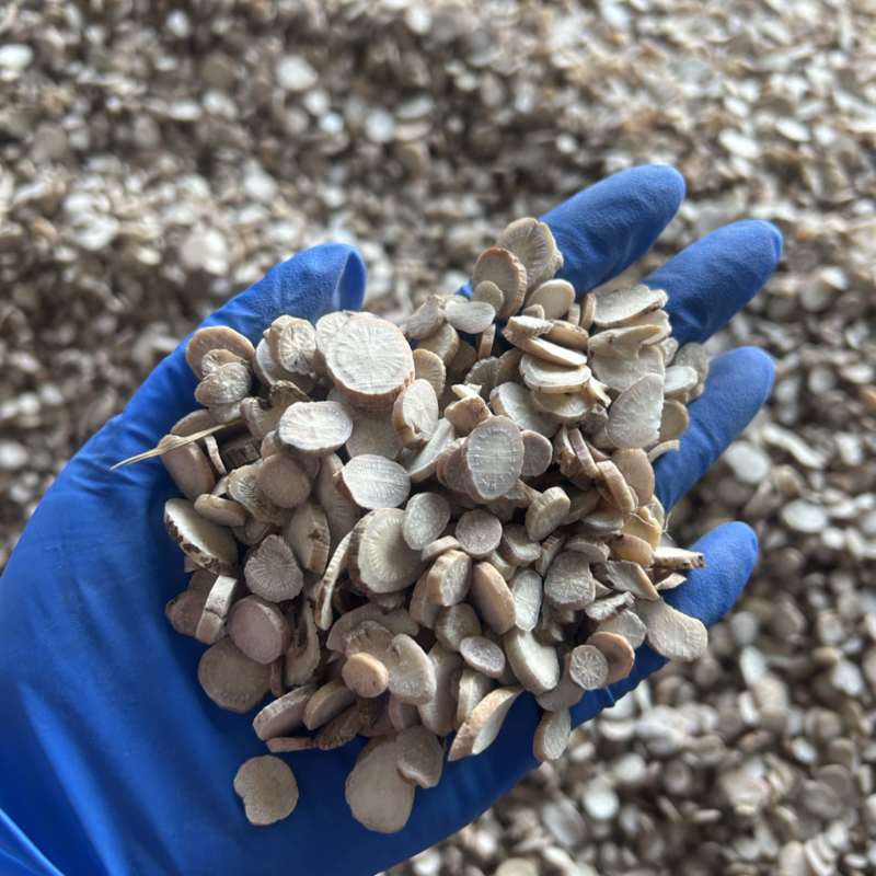 白芍白芍片圆片实拍视频诚信经营