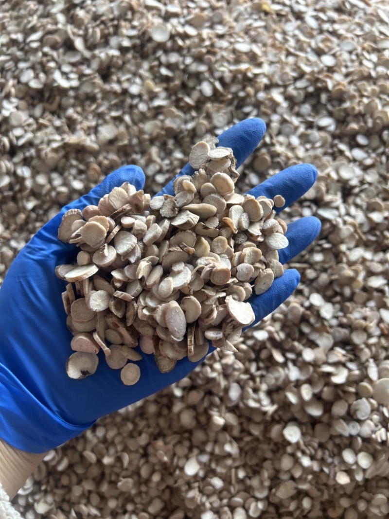 白芍白芍片圆片实拍视频诚信经营