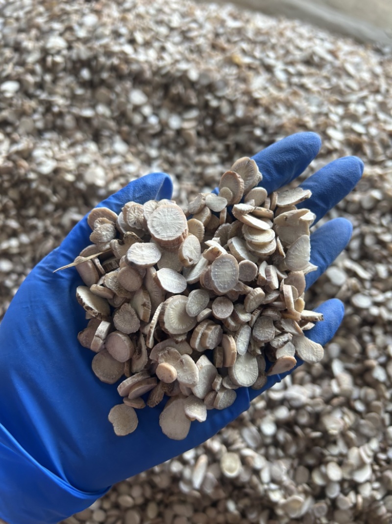 白芍白芍片圆片实拍视频诚信经营
