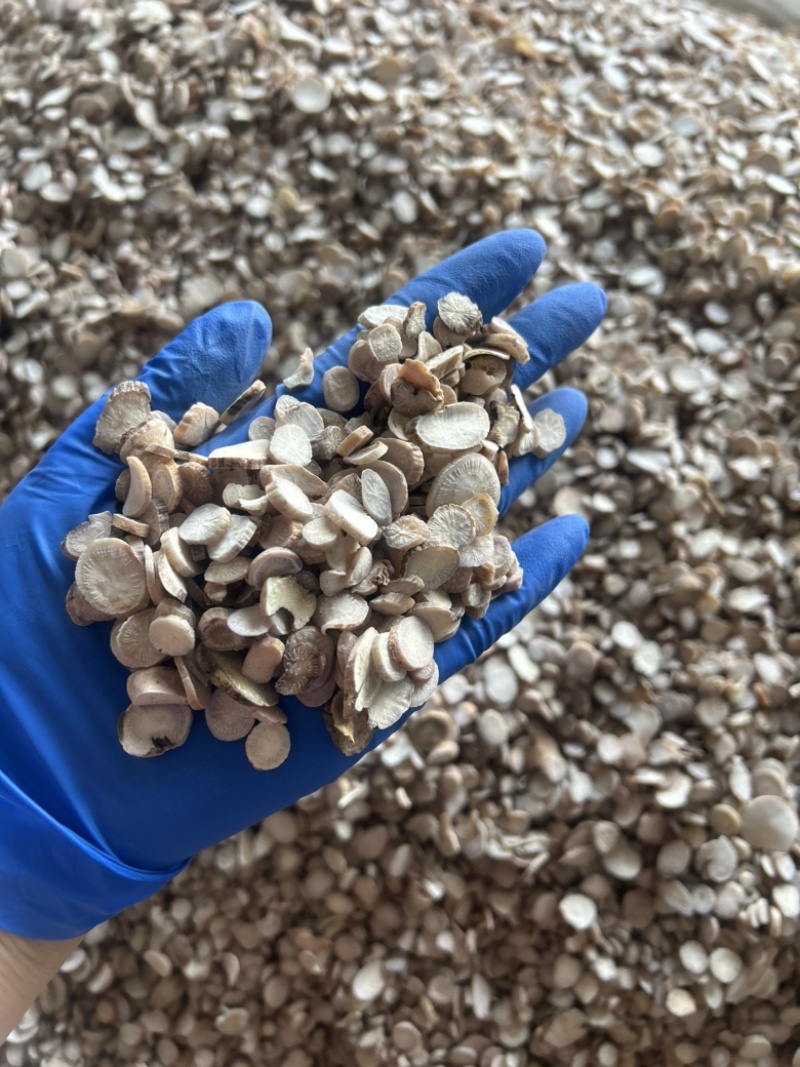 白芍白芍片圆片实拍视频诚信经营