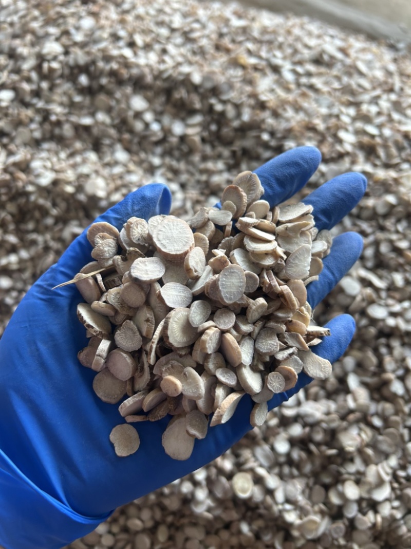 白芍白芍片圆片实拍视频诚信经营