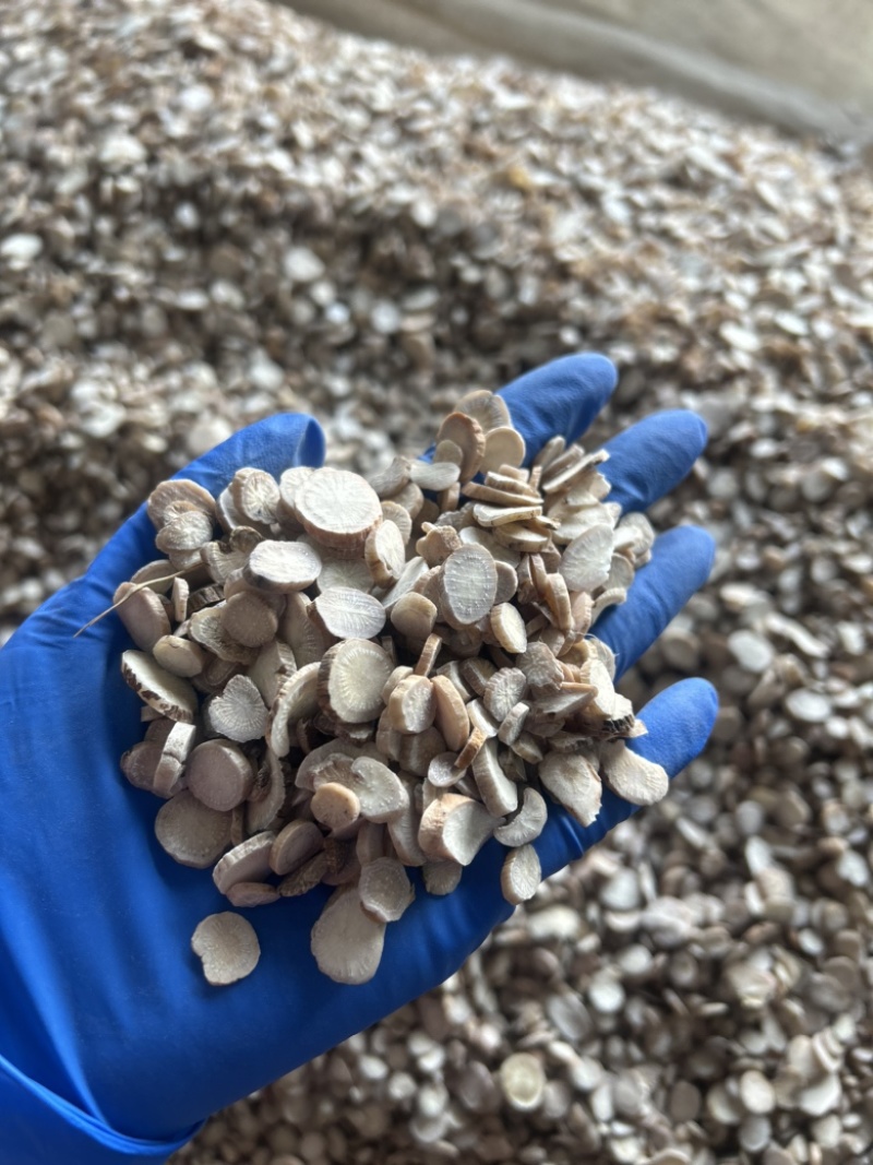 白芍白芍片圆片实拍视频诚信经营