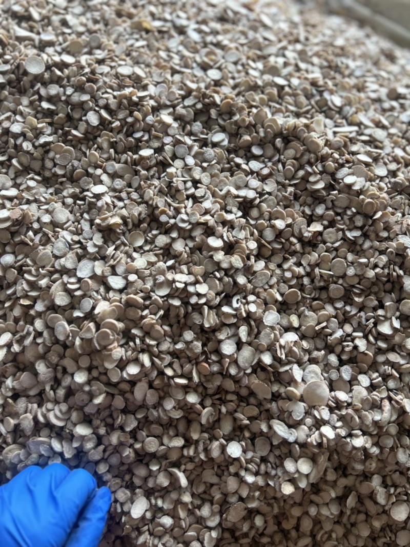 白芍白芍片圆片实拍视频诚信经营