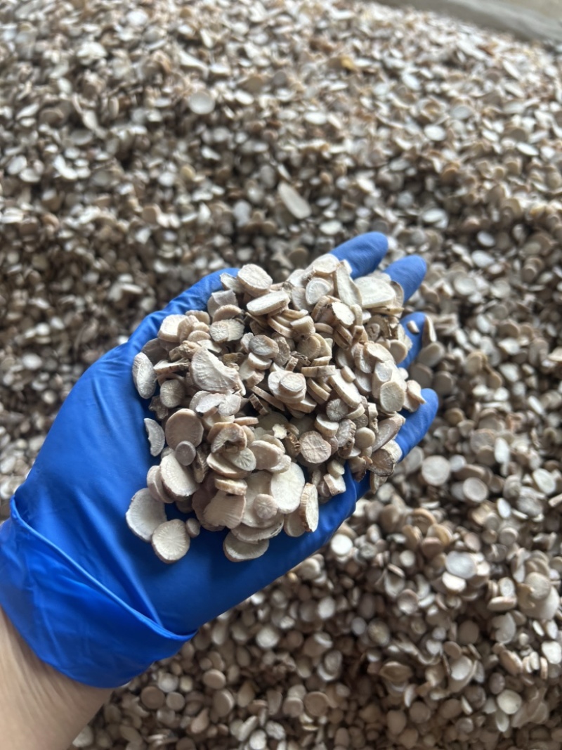 白芍白芍片圆片实拍视频诚信经营