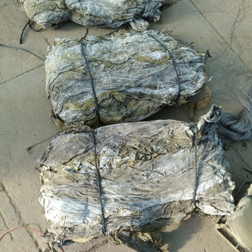 大连干海带有40多吨，厂家直销，货品齐全，质量保证