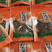 【榛蘑】野生榛蘑