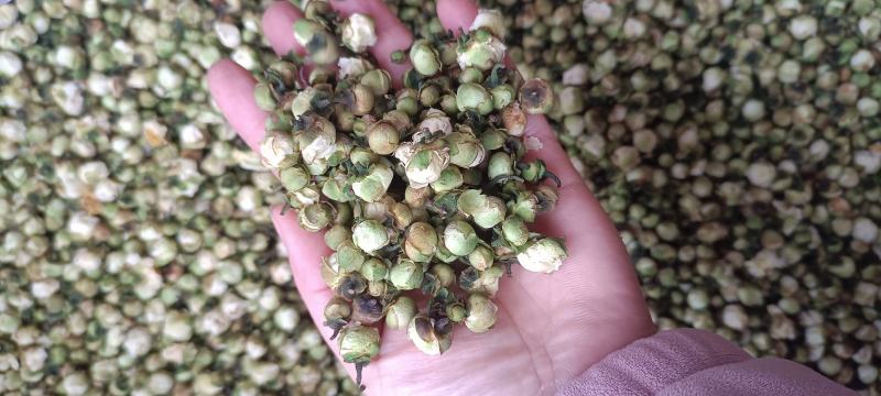 精选山茶花500克茶花干泡水花茶云南精选山茶