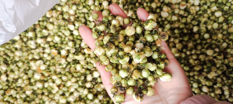 精选山茶花500克茶花干泡水花茶云南精选山茶