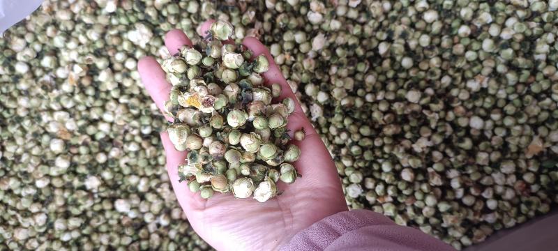 精选山茶花500克茶花干泡水花茶云南精选山茶