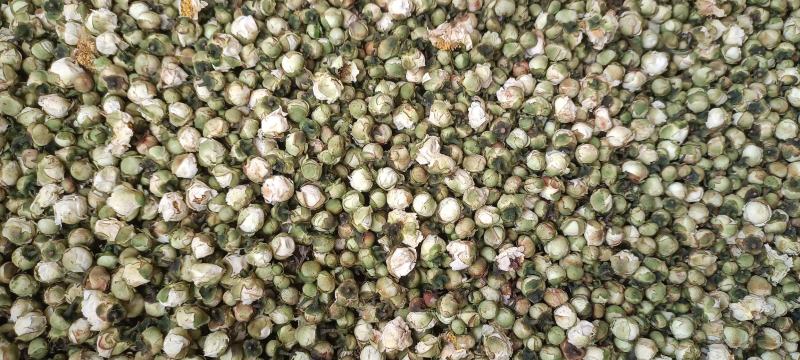 精选山茶花500克茶花干泡水花茶云南精选山茶