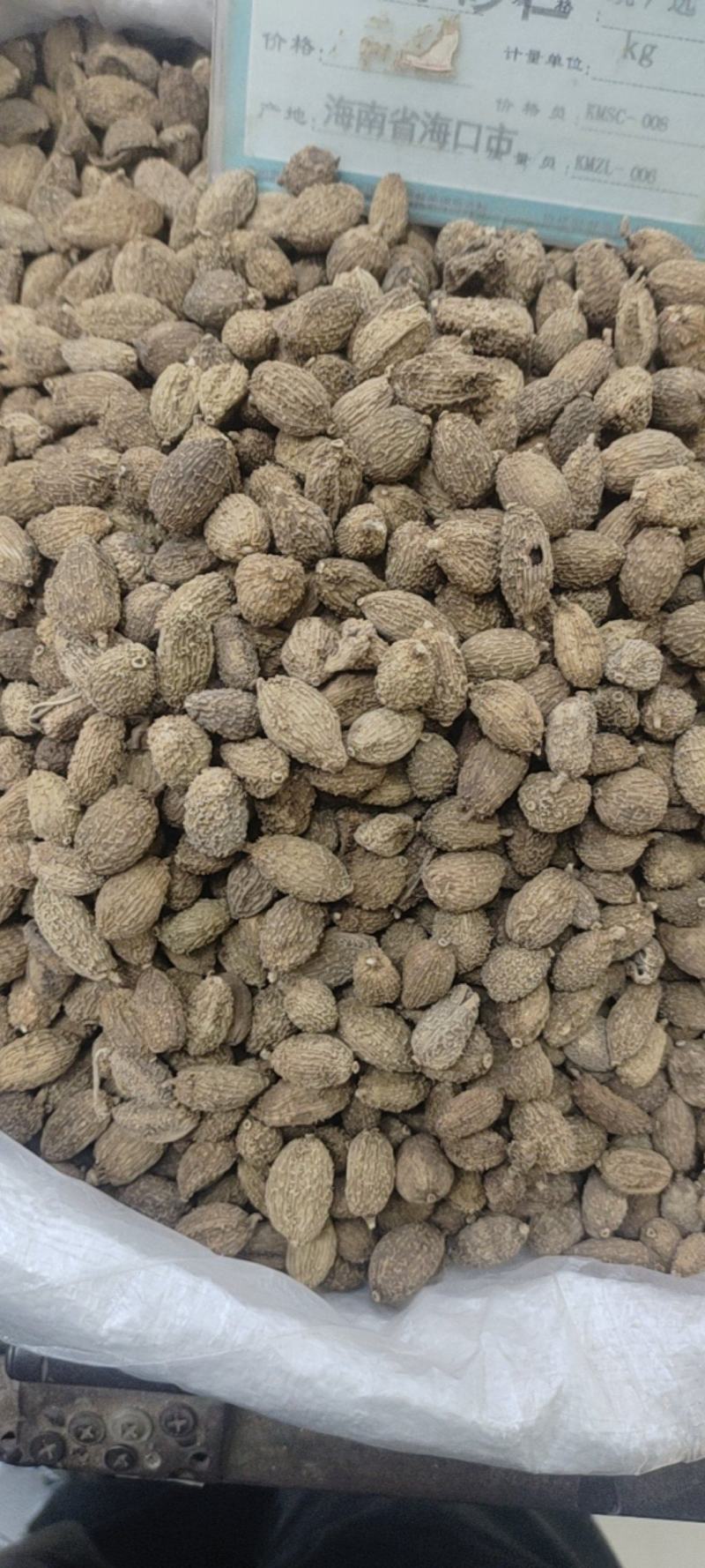 中药材砂仁，各种规格都有现货大货需要的老板可以下单