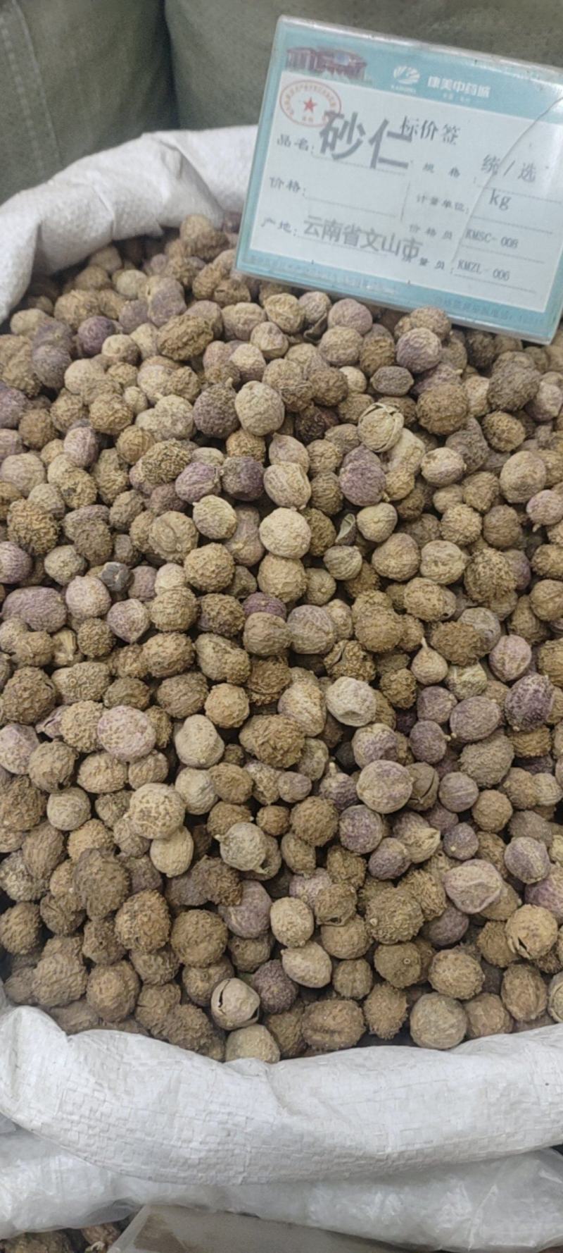 中药材砂仁，各种规格都有现货大货需要的老板可以下单