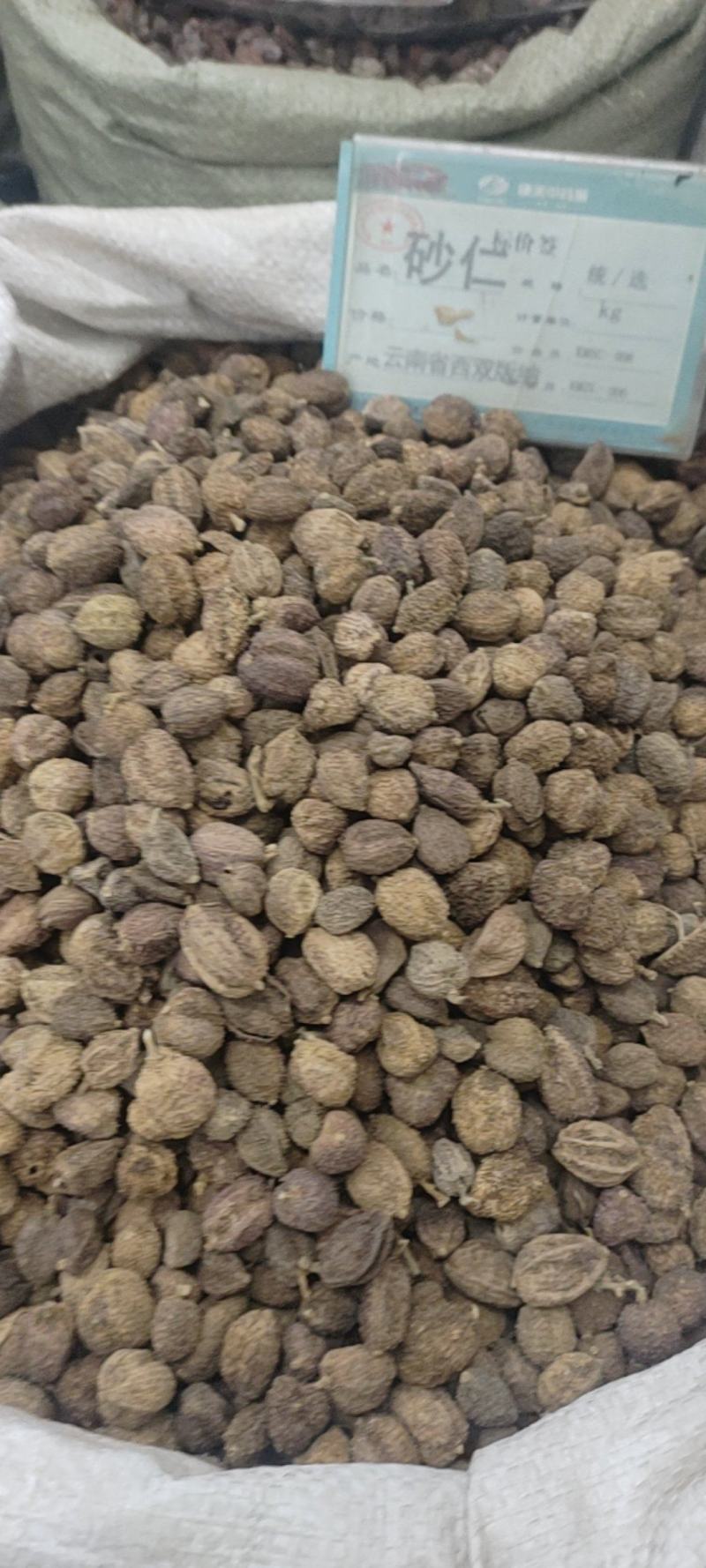 中药材砂仁，各种规格都有现货大货需要的老板可以下单