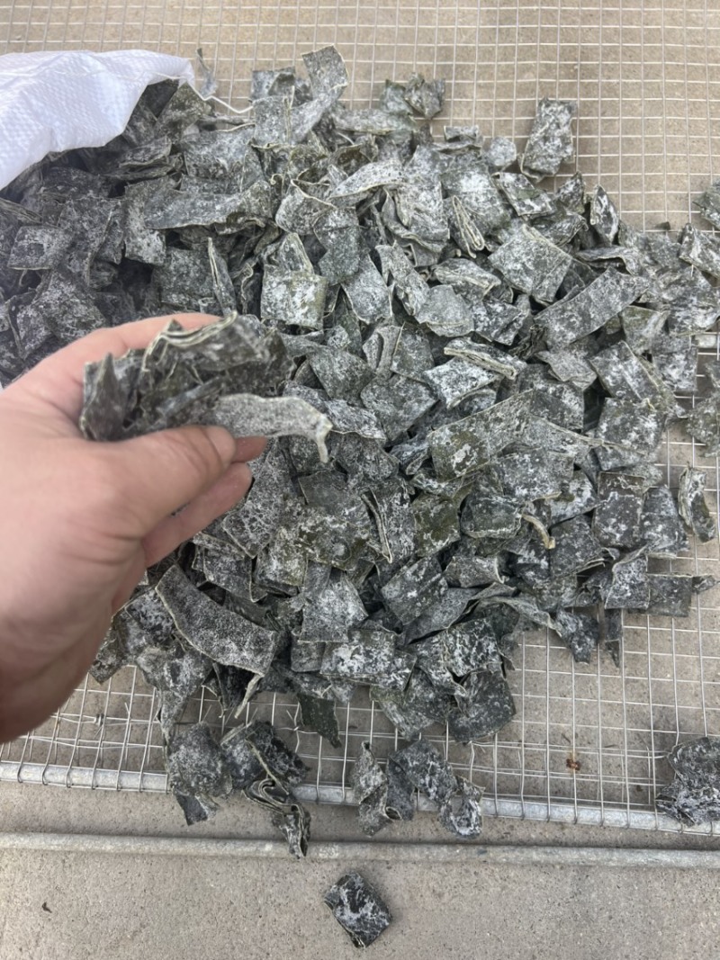 荣成盐干海带条5倍泡发率