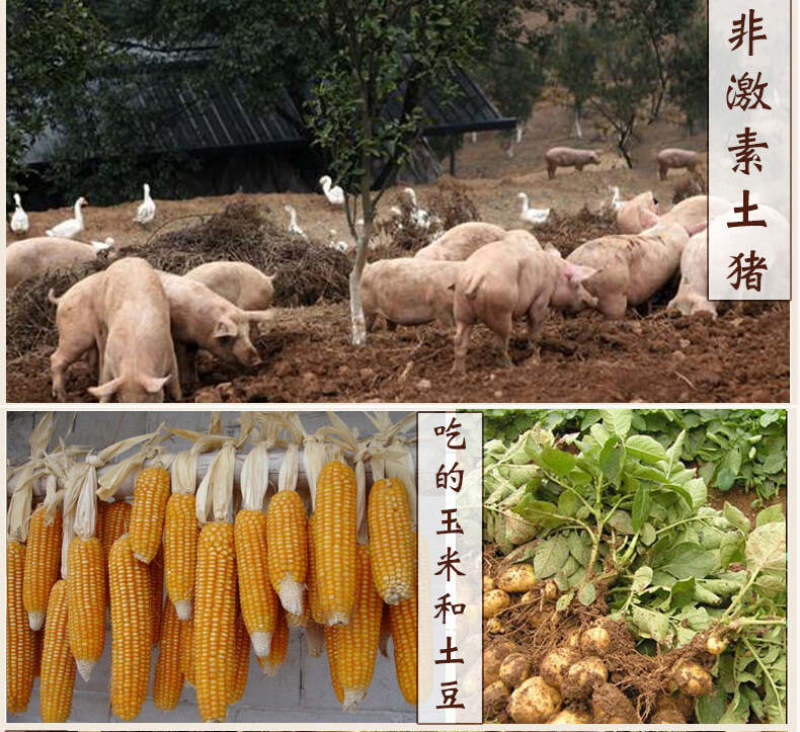 恩施腊肉真材实料全国发货保质保量量大价优