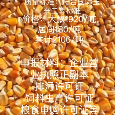 国标二等玉米大宗交易，急售