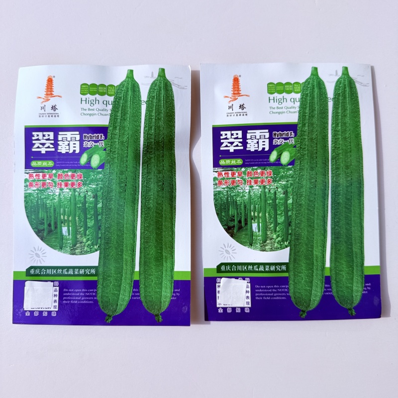 翠霸棱角花点丝瓜种子菱形丝瓜种子大肉丝瓜种子