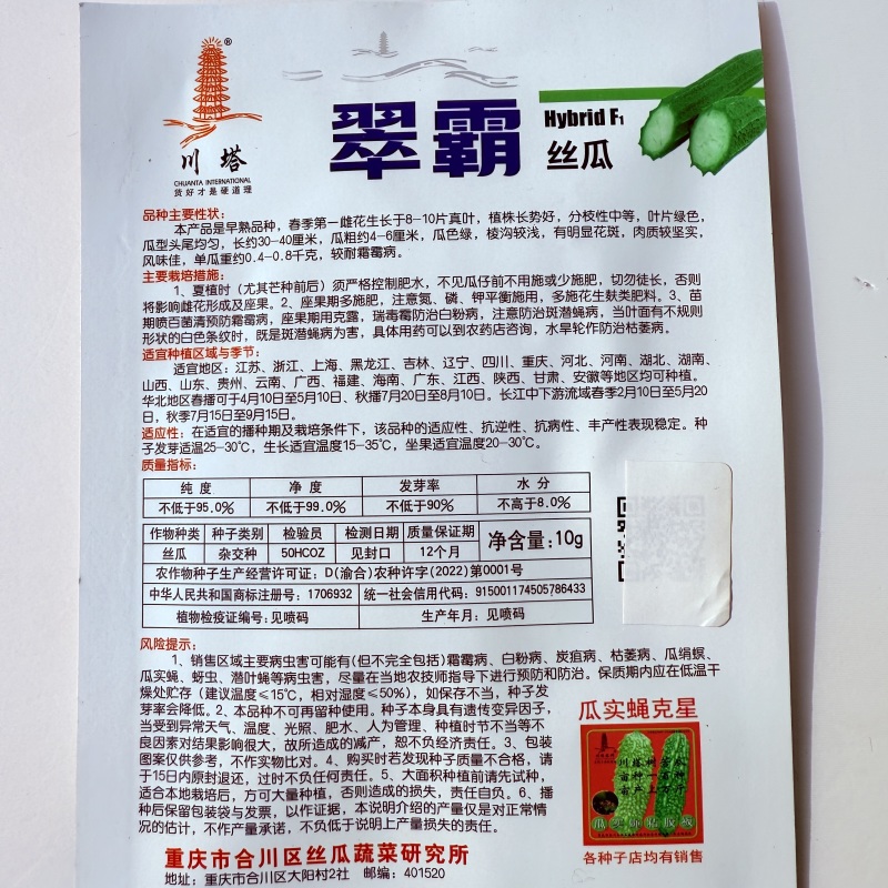翠霸棱角花点丝瓜种子菱形丝瓜种子大肉丝瓜种子