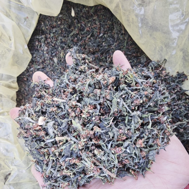 杜仲雄花1公斤