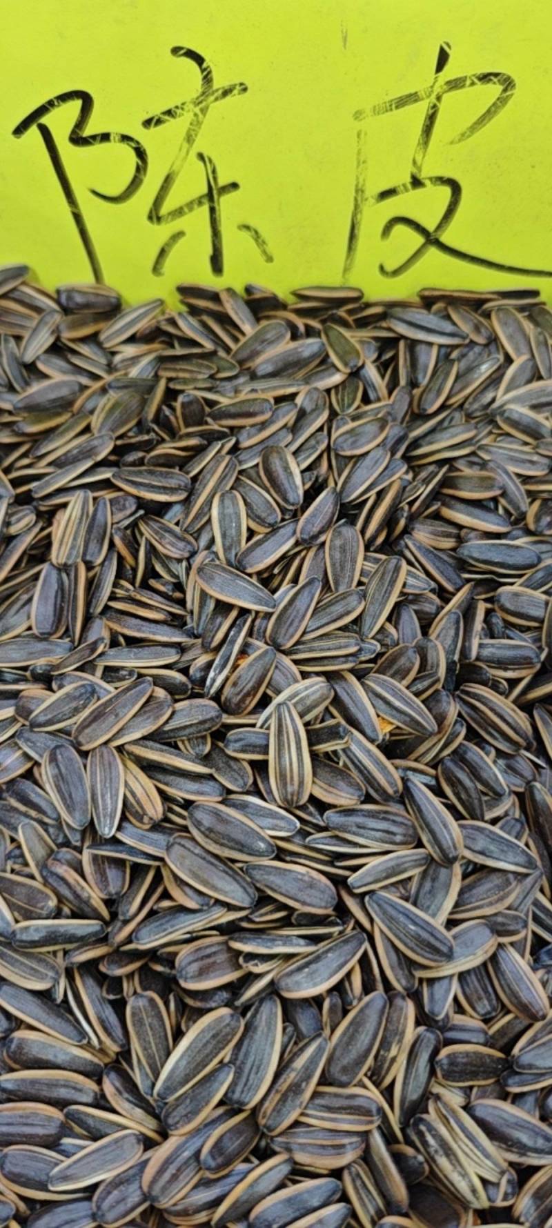 河南郑州新货葵花子10斤焦糖红枣五香茶韵奶香原味菊花陈皮