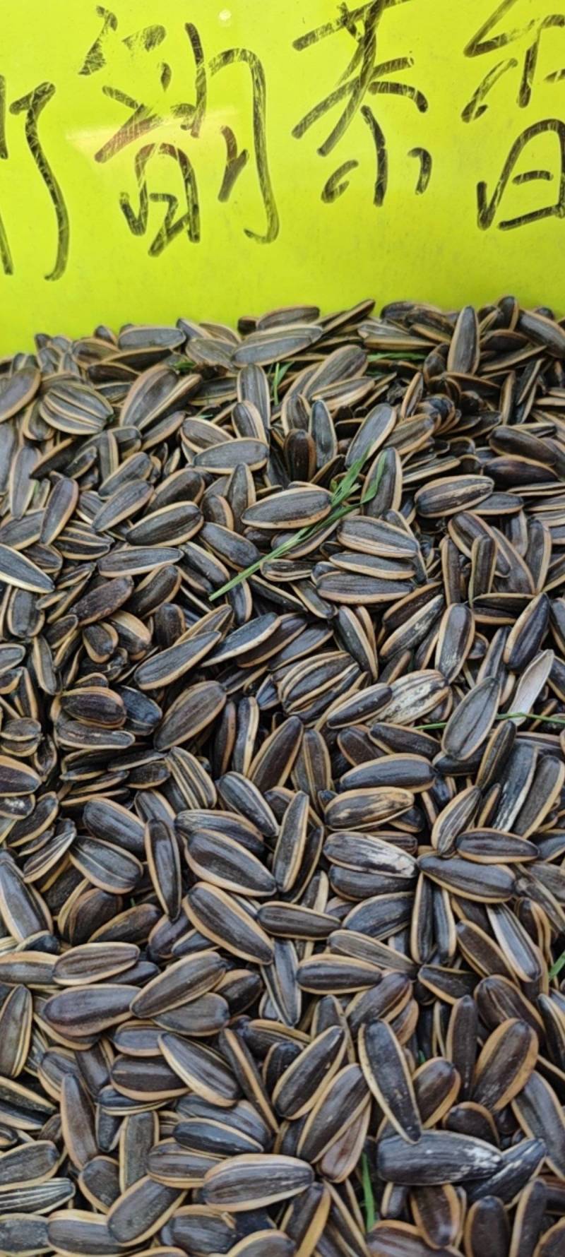 河南郑州新货葵花子10斤焦糖红枣五香茶韵奶香原味菊花陈皮